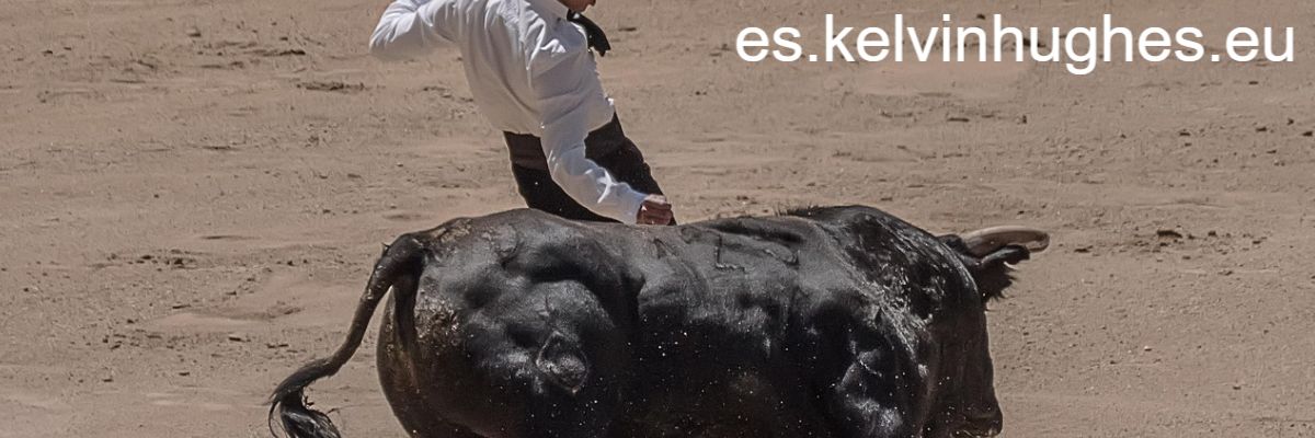 es.kelvinhughes.eu